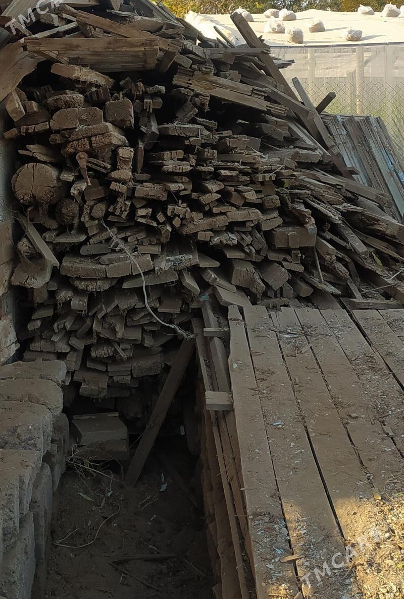 Desbe agaçlar - Büzmeýin - img 2