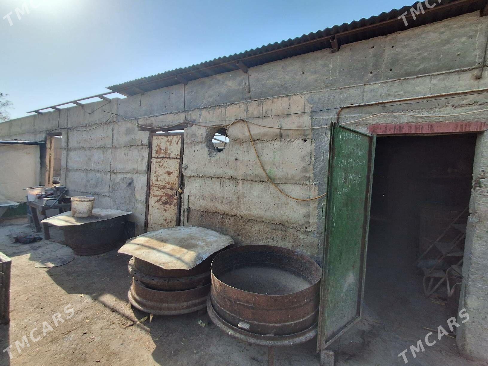 Satlyk ucasga - Kaka - img 8