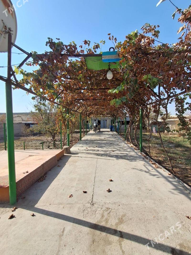 Satlyk ucasga - Kaka - img 6