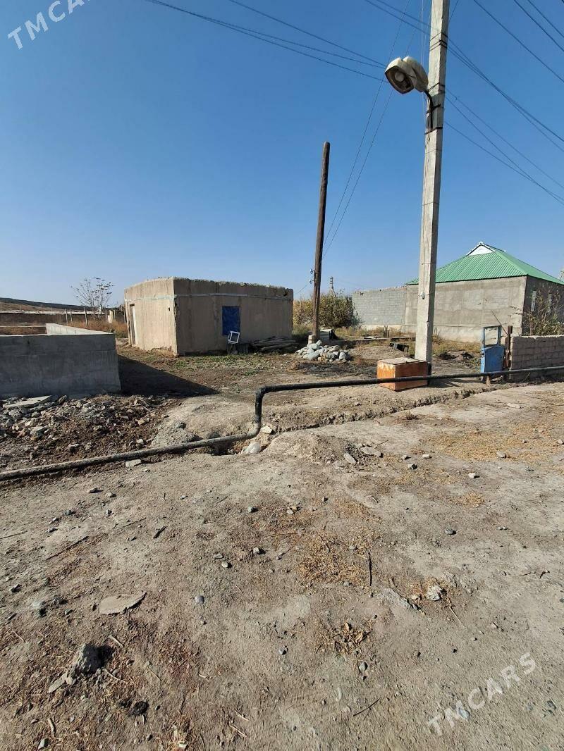 Satlyk ucasga - Kaka - img 1