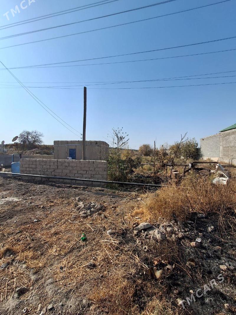 Satlyk ucasga - Kaka - img 3