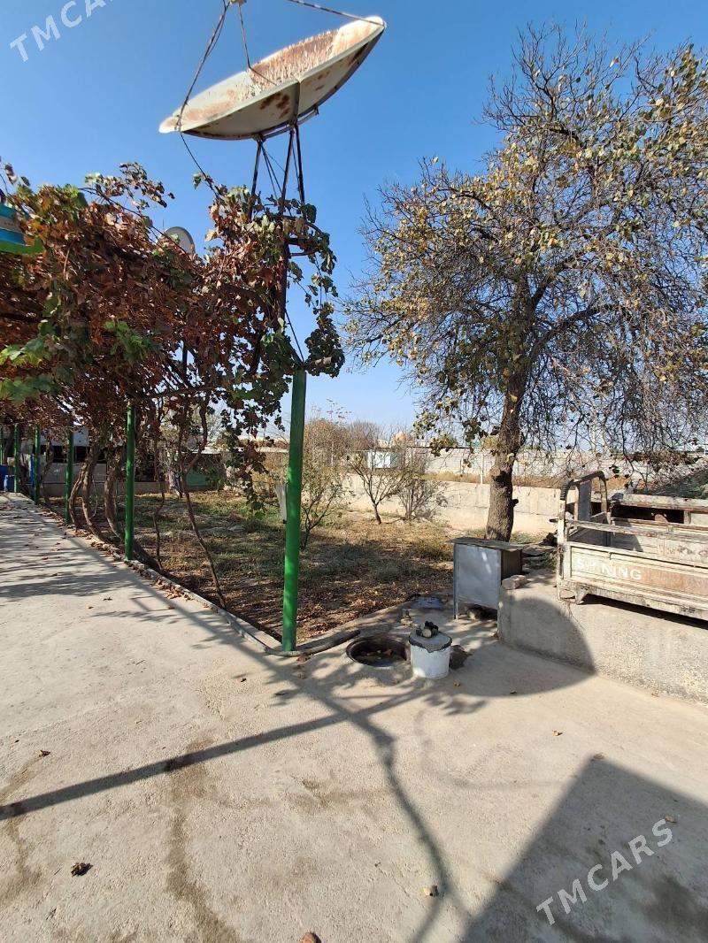 Satlyk ucasga - Kaka - img 4