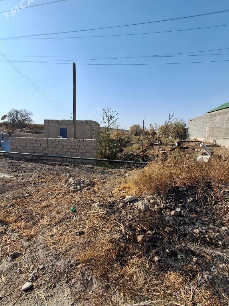 Satlyk ucasga - Kaka - img 2