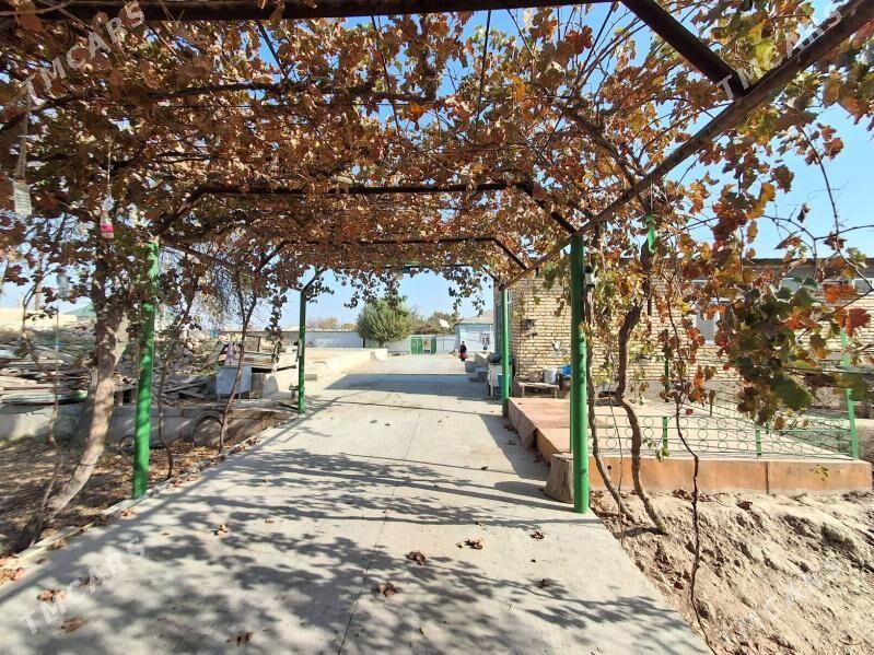 Satlyk ucasga - Kaka - img 10