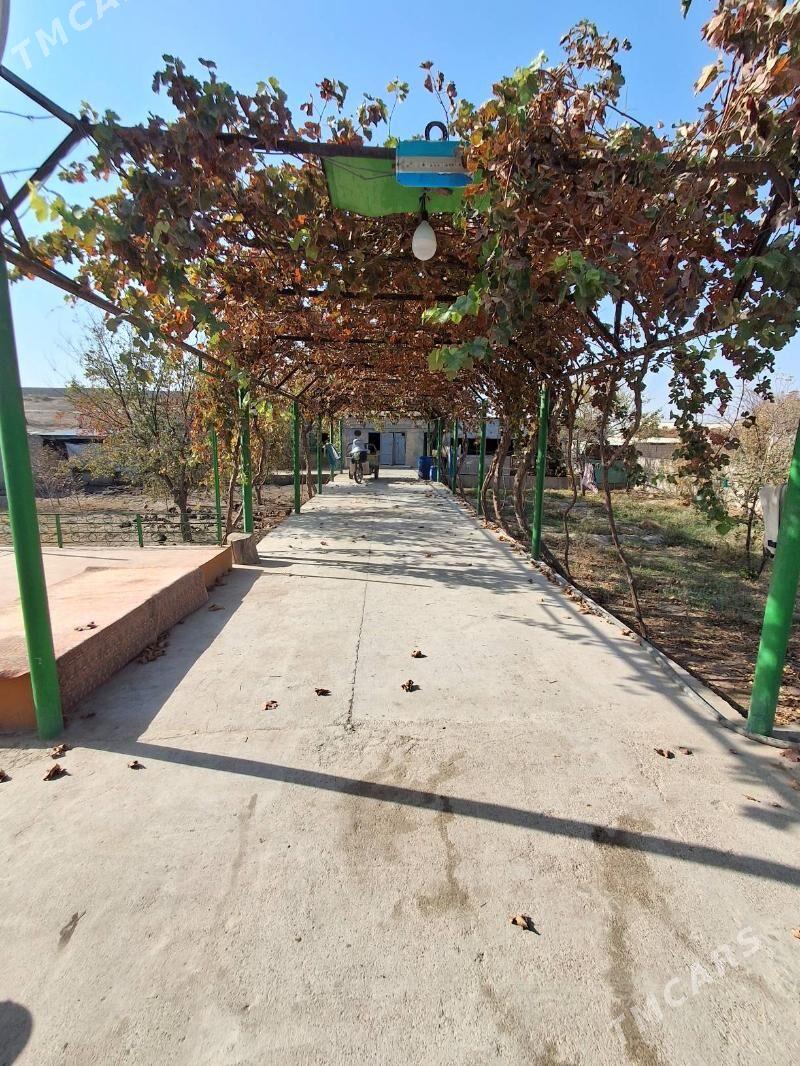 Satlyk ucasga - Kaka - img 5