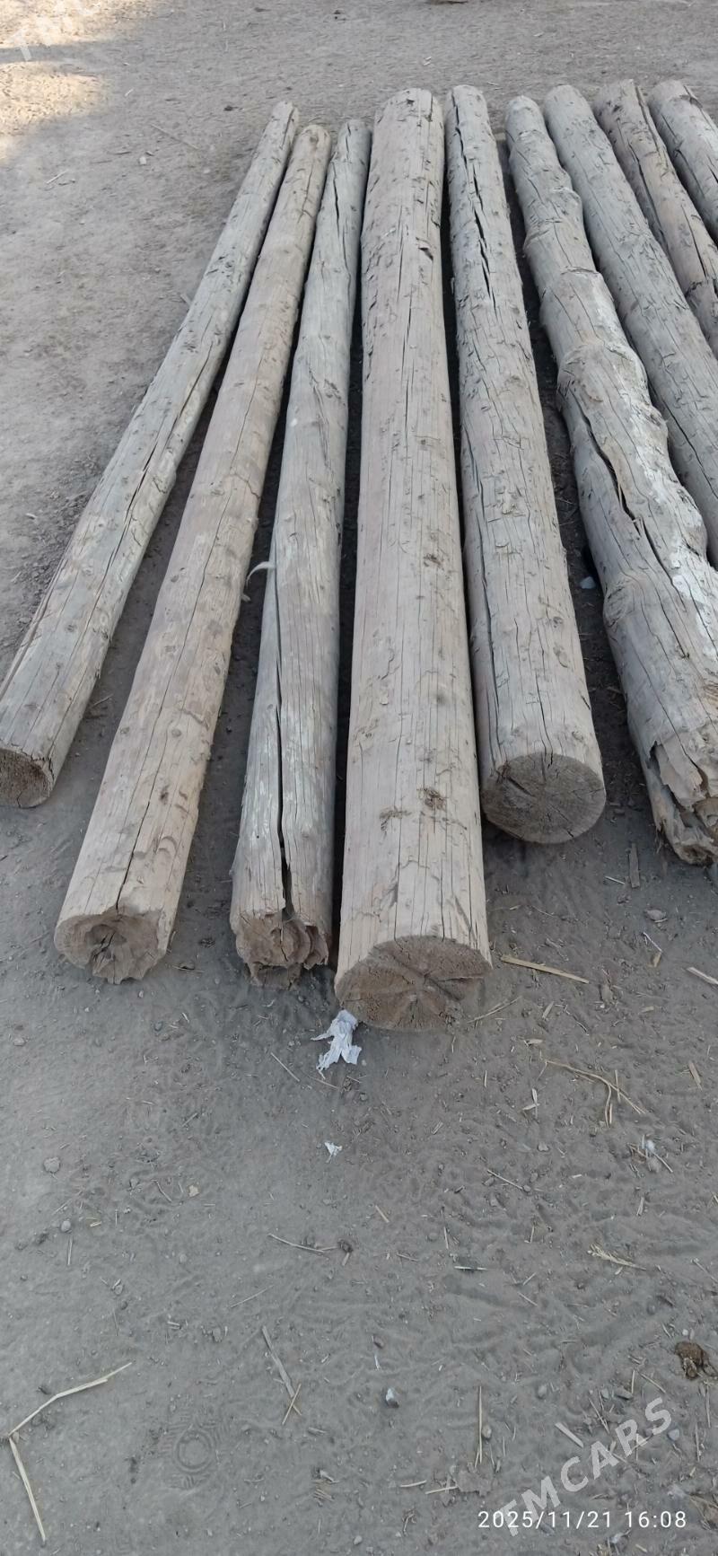 agaç - Дашогуз - img 4