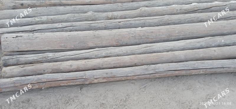 agaç - Дашогуз - img 3