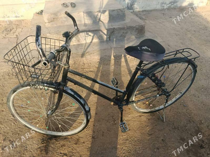 Tigir - Сакарчага - img 2