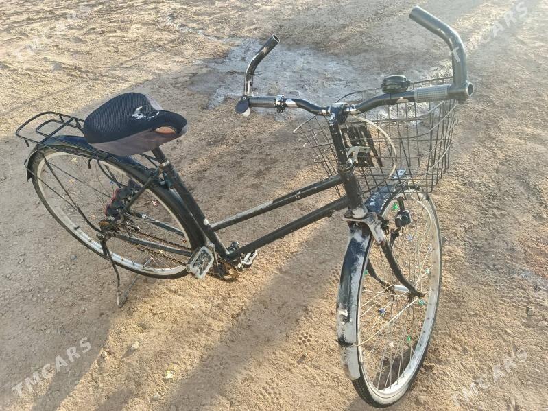 Tigir - Сакарчага - img 3