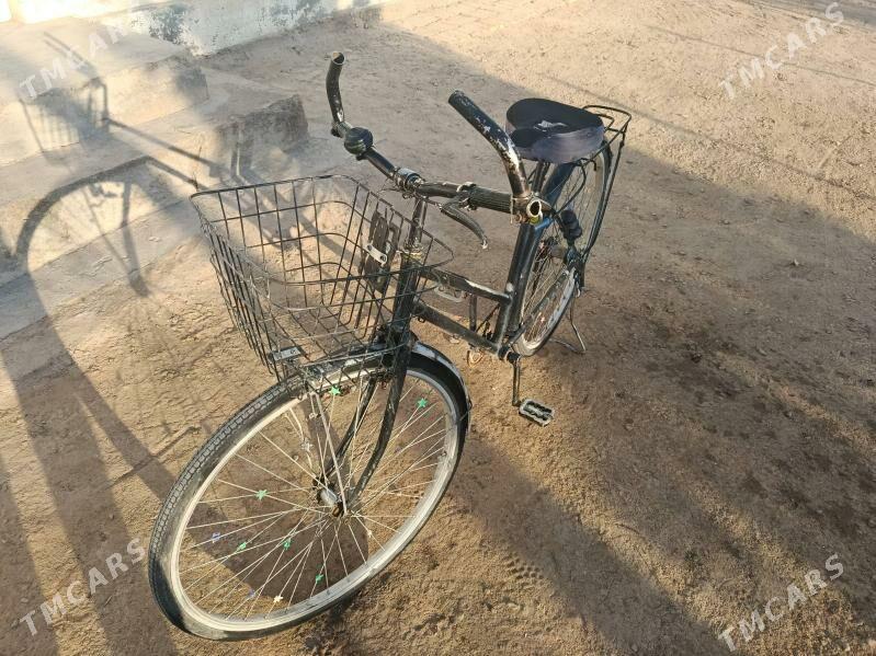 Tigir - Сакарчага - img 1