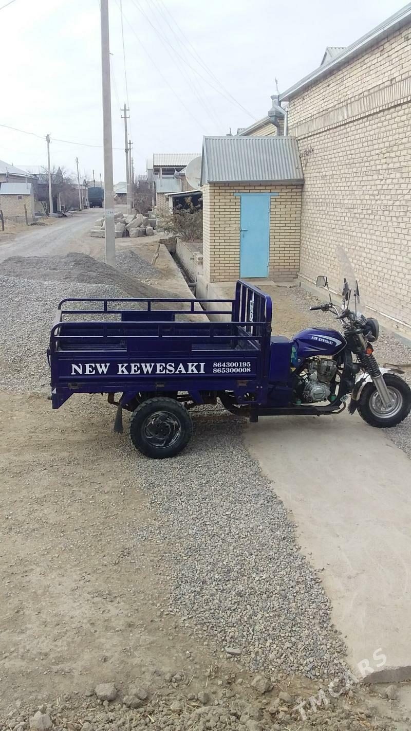 Fekon FK200-14G 2015 - 20 000 TMT - Sakarçäge - img 2