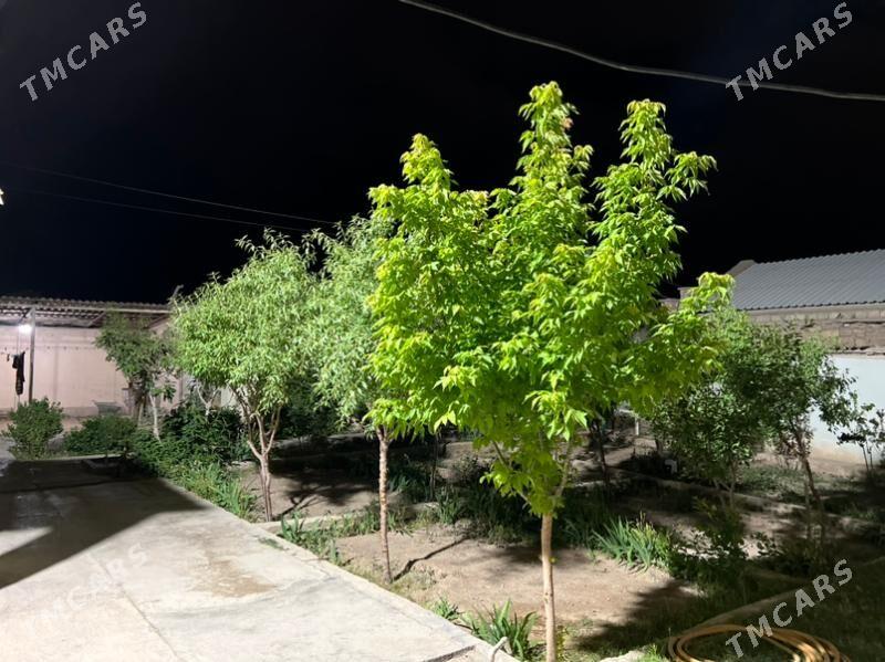 Plan jay- Плановый дом - Balkanabat - img 2