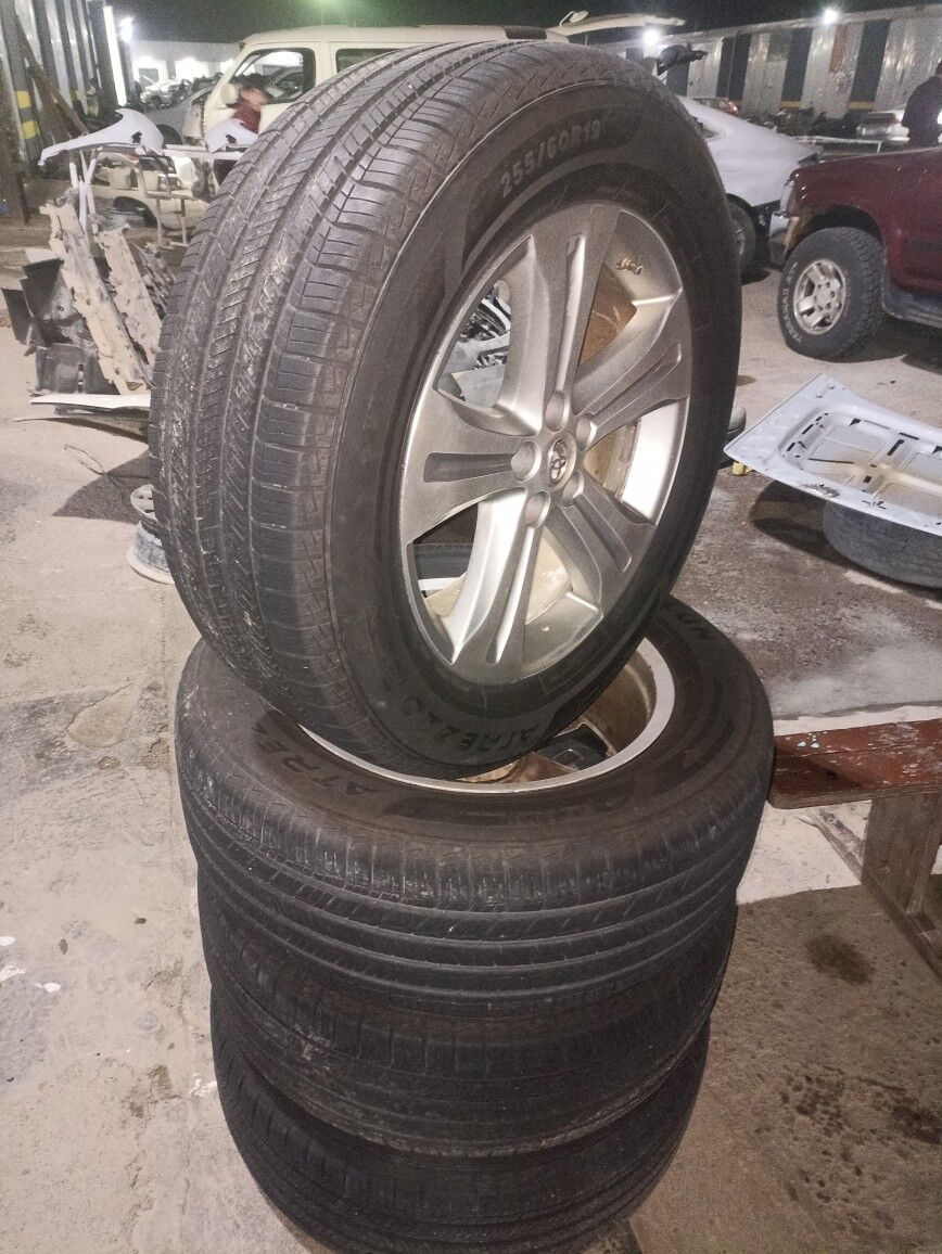 Highlander dysga 8 600 TMT - Mary - img 2