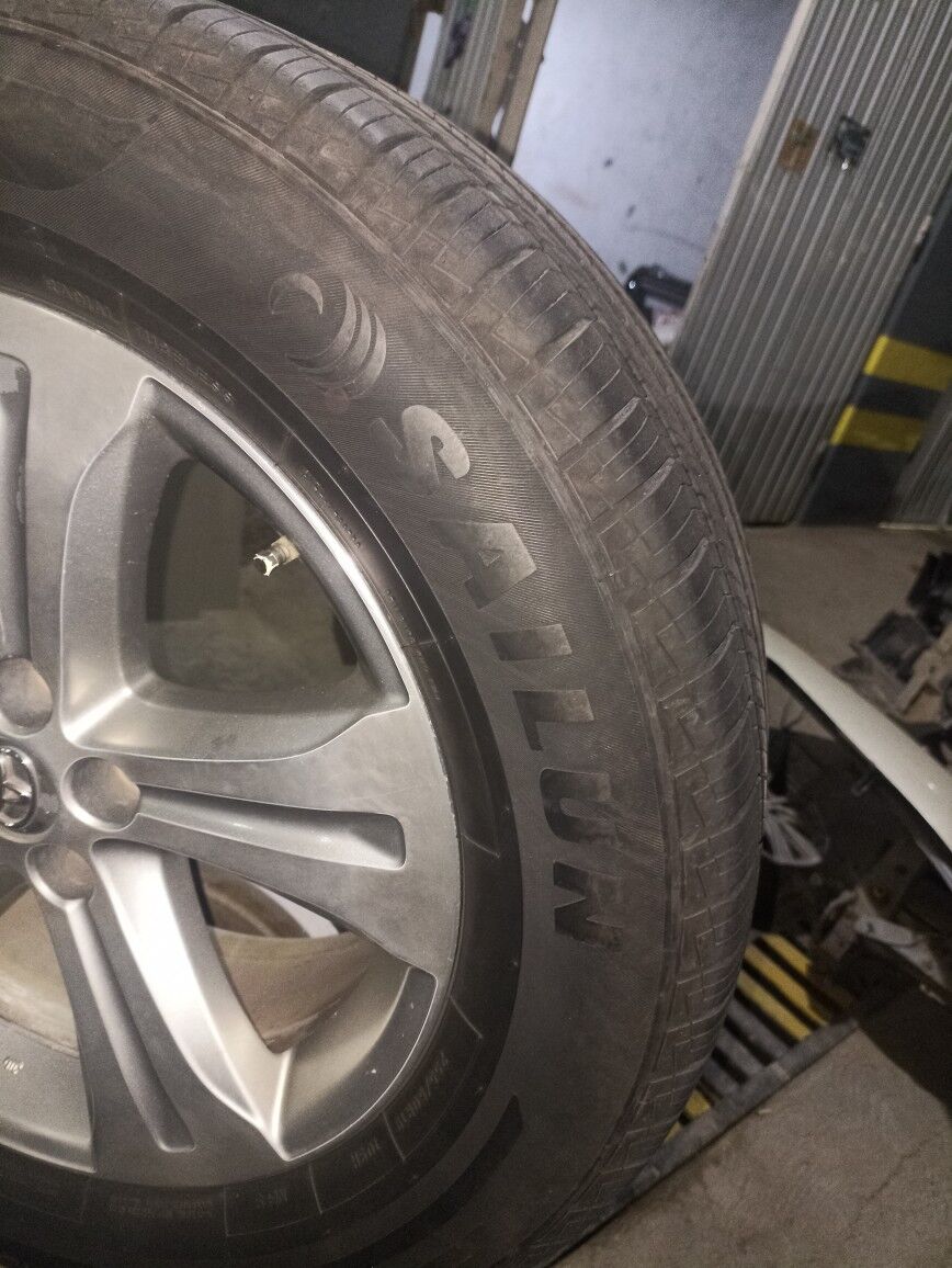 Highlander dysga 8 600 TMT - Mary - img 4