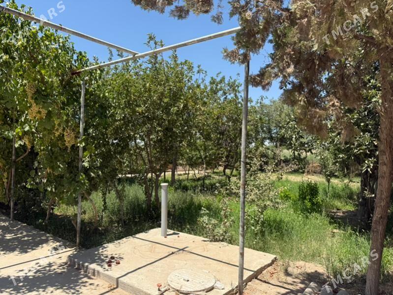 gres daca - Mary - img 7