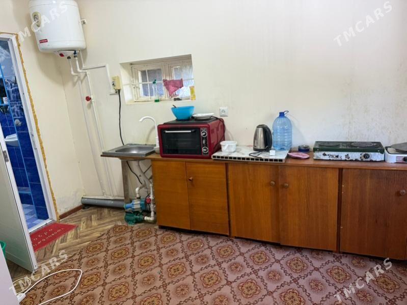 gres daca - Mary - img 5