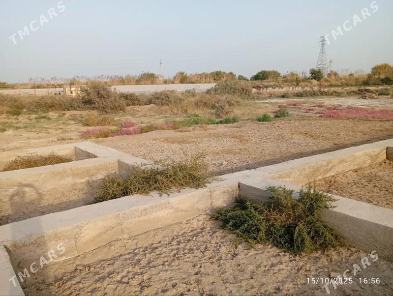 satlyk melek - Mary - img 5