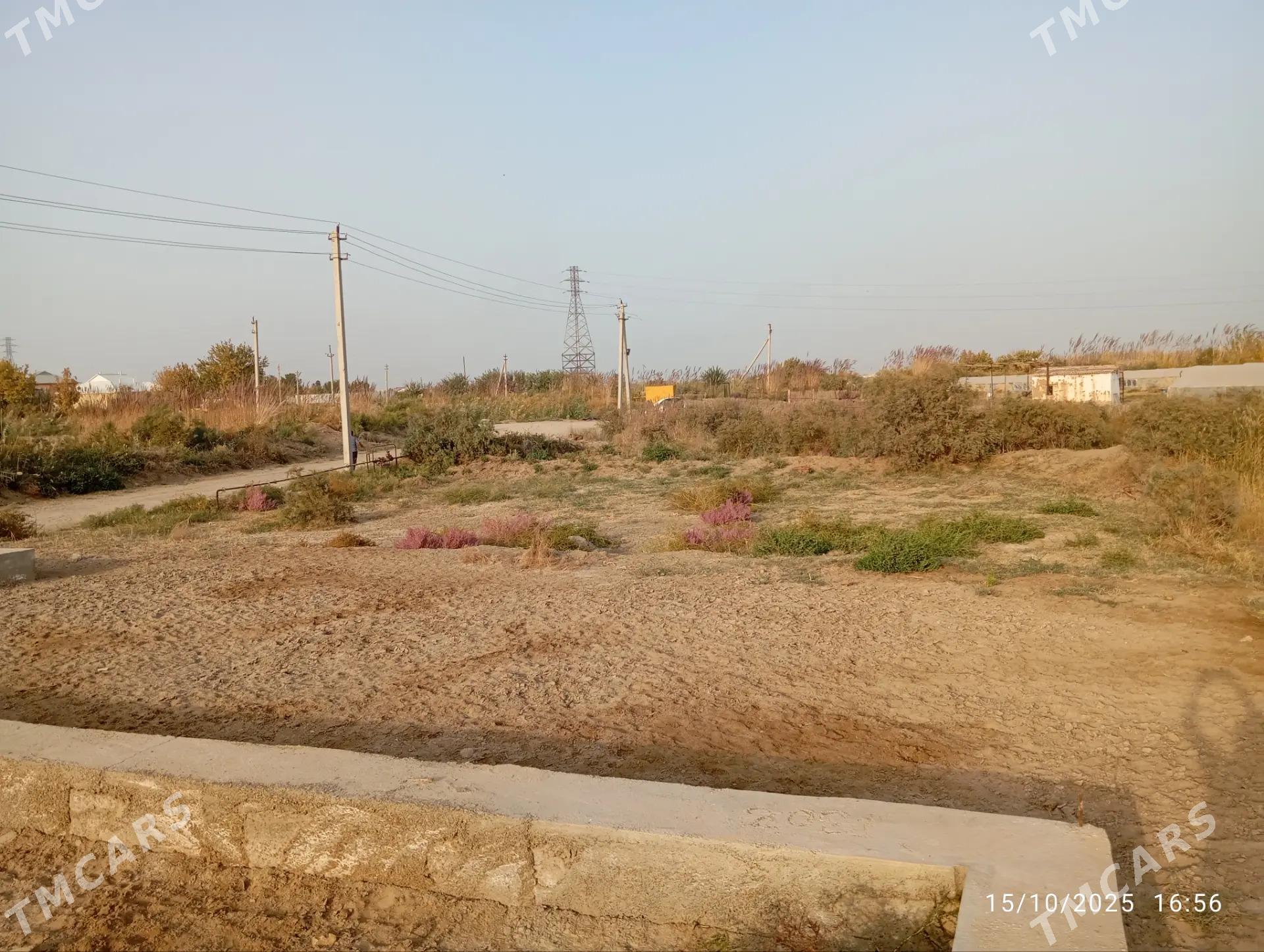 satlyk melek - Mary - img 2