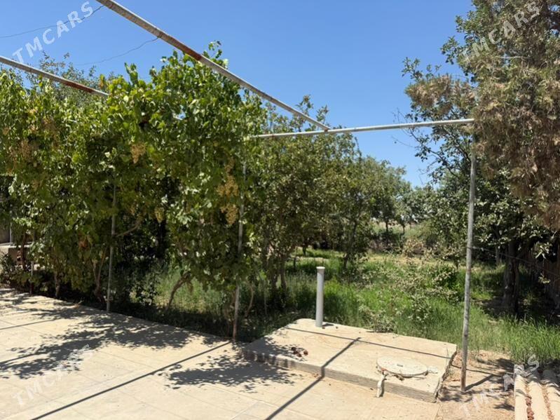 gres daca - Mary - img 8