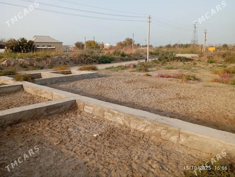 satlyk melek - Mary - img 3