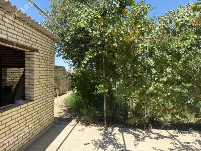 gres daca - Mary - img 10