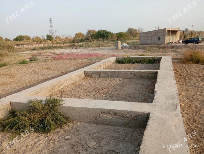 satlyk melek - Mary - img 6