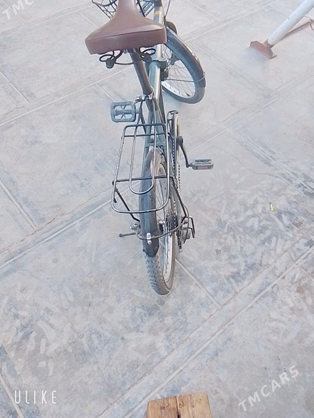 kama welsepid jeep  full - Mary - img 4