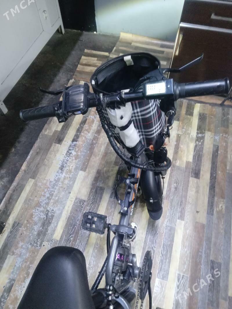 tigir - Tejen - img 2