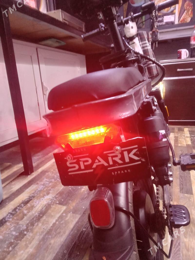 tigir - Tejen - img 3