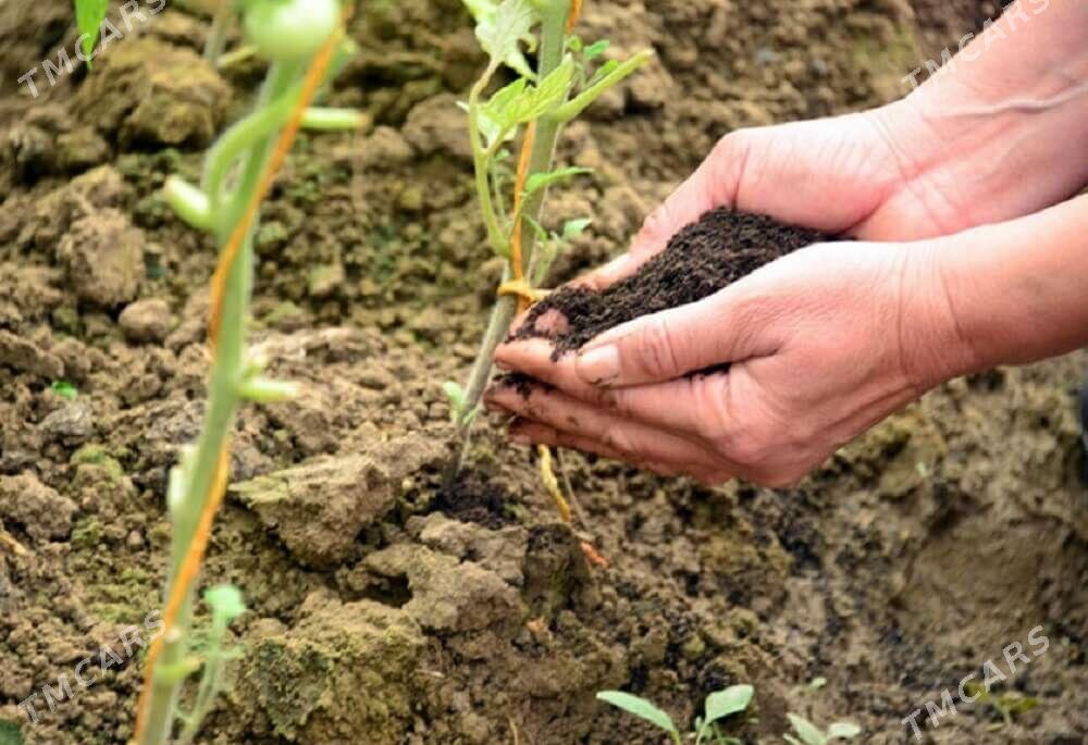 Biogumus - Кака - img 6