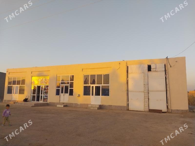 Dukan - Dänew - img 2