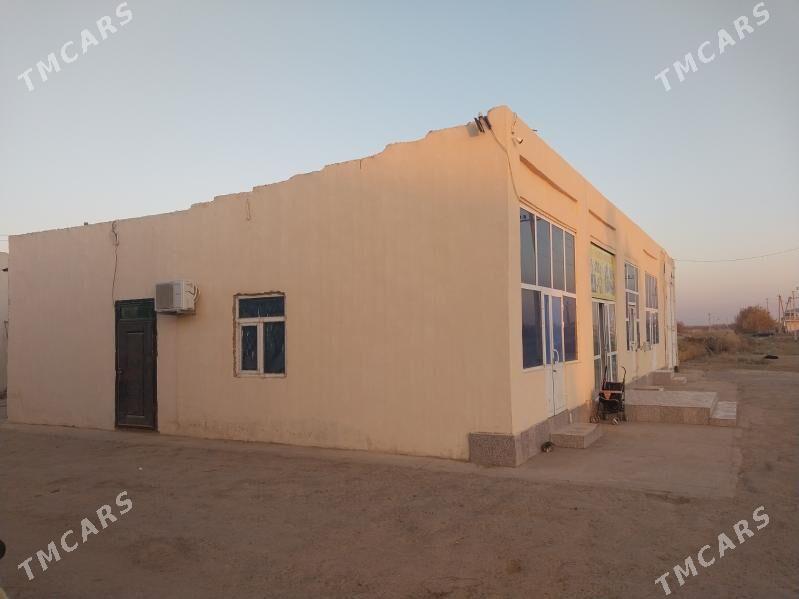 Dukan - Dänew - img 3