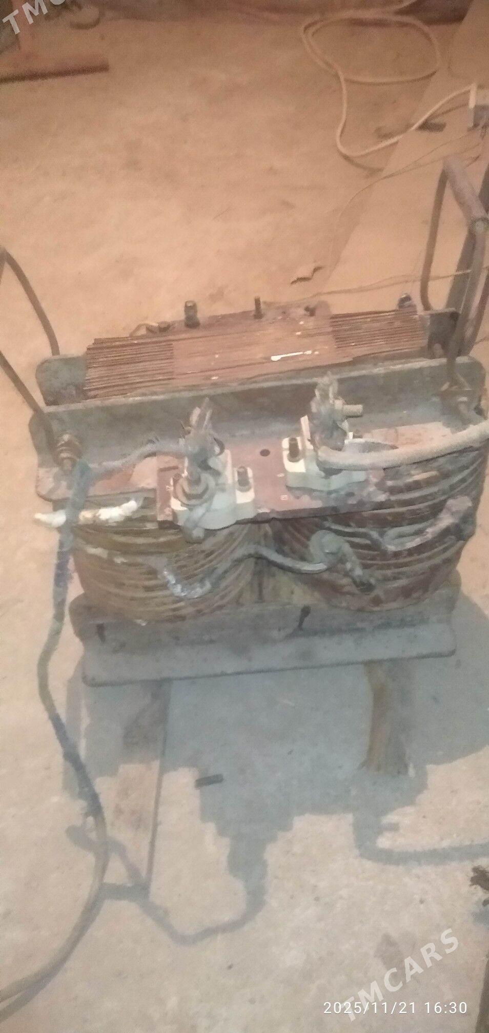 Swarka aparat sarym - Mary - img 2