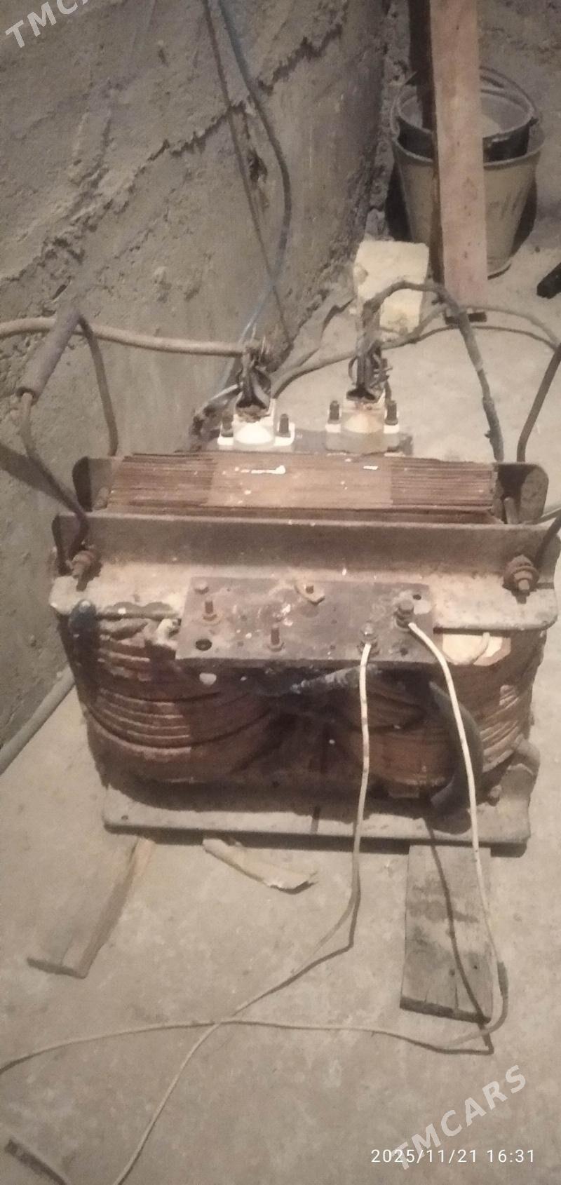 Swarka aparat sarym - Mary - img 1