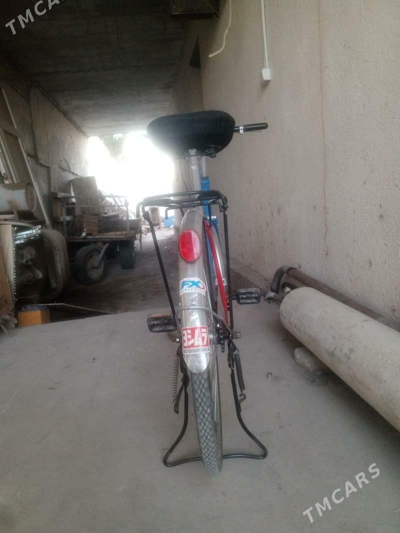 24 лик гыссаглы ылалашы говы - Türkmenabat - img 2