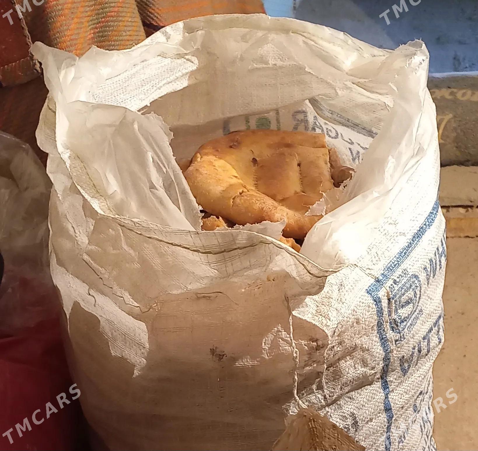 gury nan - Mary - img 3