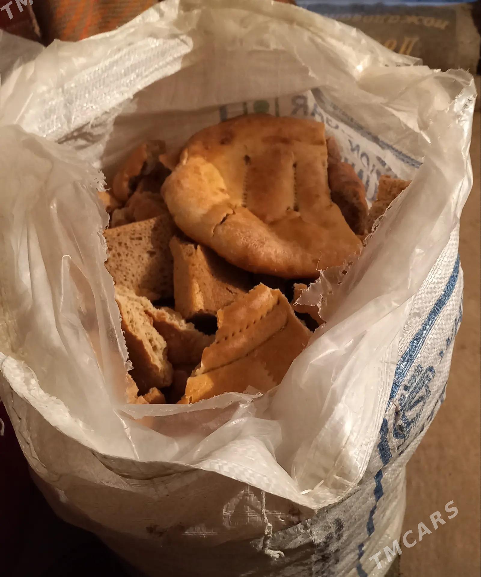 gury nan - Mary - img 2