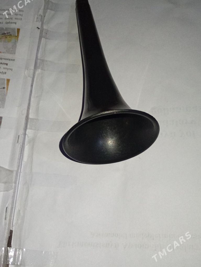 BOZDUŞKA SIGNAL TÜYDIGI - Гурбансолтан Едже - img 3