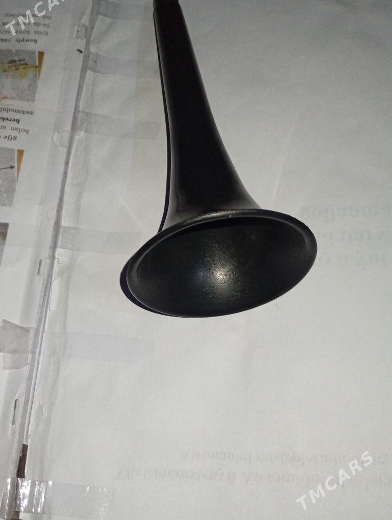 BOZDUŞKA SIGNAL TÜYDIGI - Гурбансолтан Едже - img 2