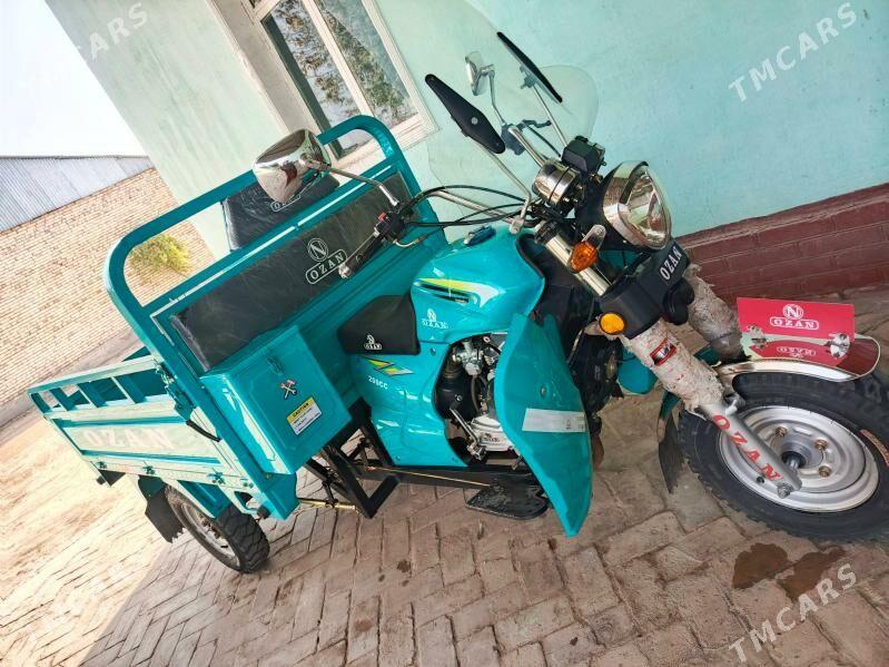 Ozan 200CC 2024 - 26 000 TMT - Kerki - img 5