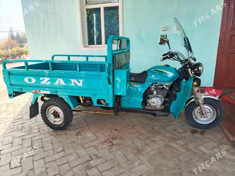 Ozan 200CC 2024 - 26 000 TMT - Kerki - img 4