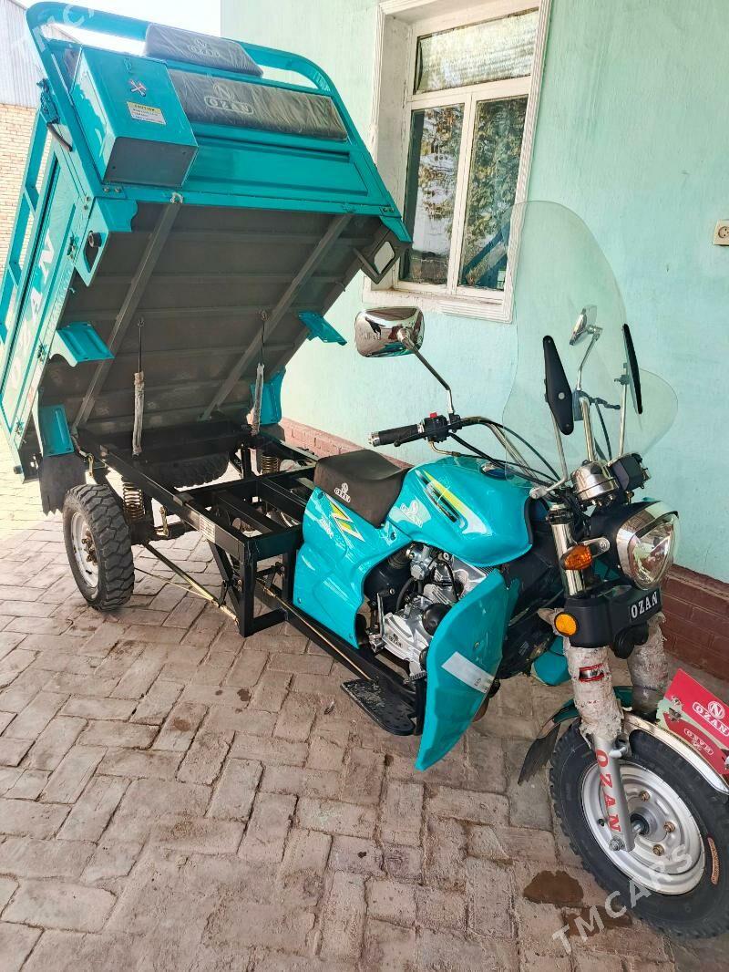 Ozan 200CC 2024 - 26 000 TMT - Kerki - img 2