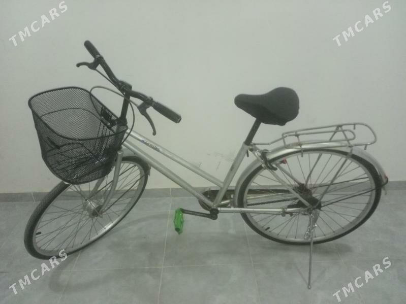 Tigir ýapoşga - Аркадаг - img 3