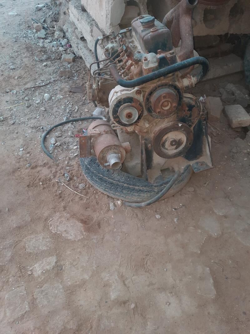 herketlendrji 10 000 TMT - Sakarçäge - img 2