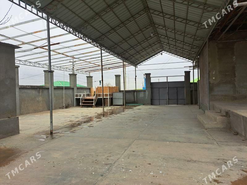 Bagyr satlyk jay - Bagyr - img 2