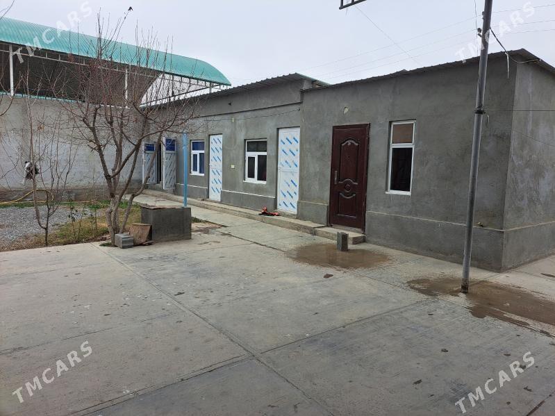 Bagyr satlyk jay - Bagyr - img 4