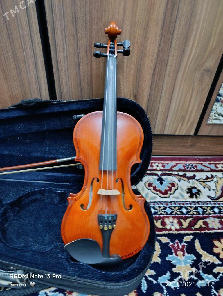 Skripka - Daşoguz - img 2