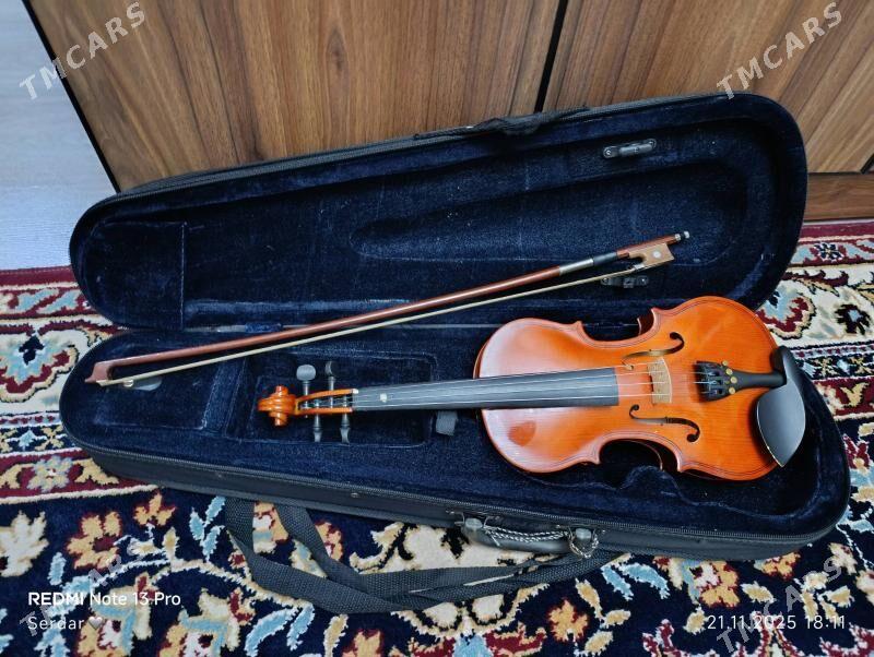 Skripka - Daşoguz - img 3