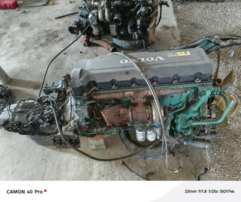 DAF WOLVA  PRSEP ZAPJASLAR MOR 100 TMT - Mary - img 5