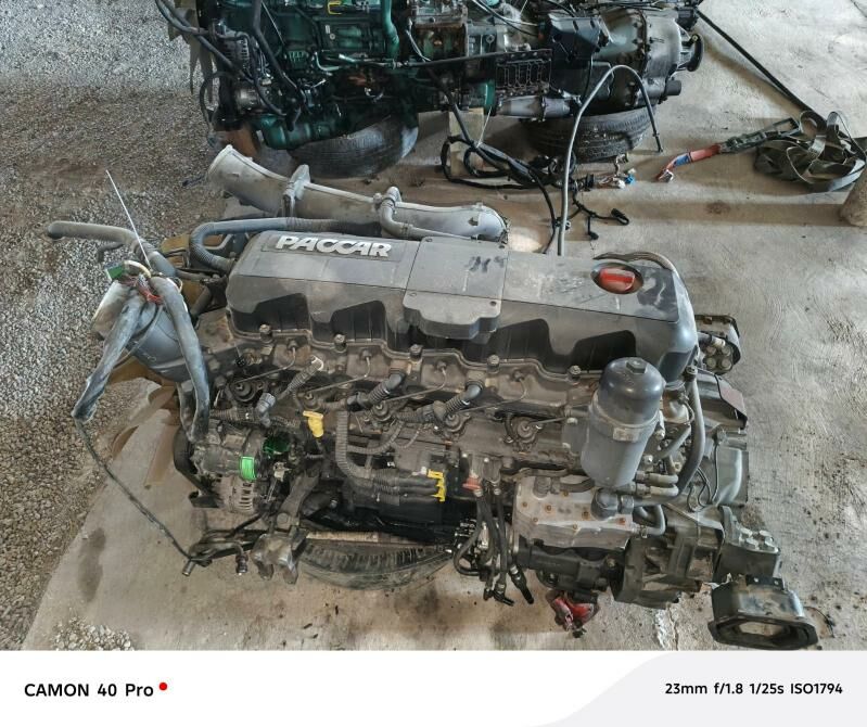 DAF WOLVA  PRSEP ZAPJASLAR MOR 100 TMT - Mary - img 4